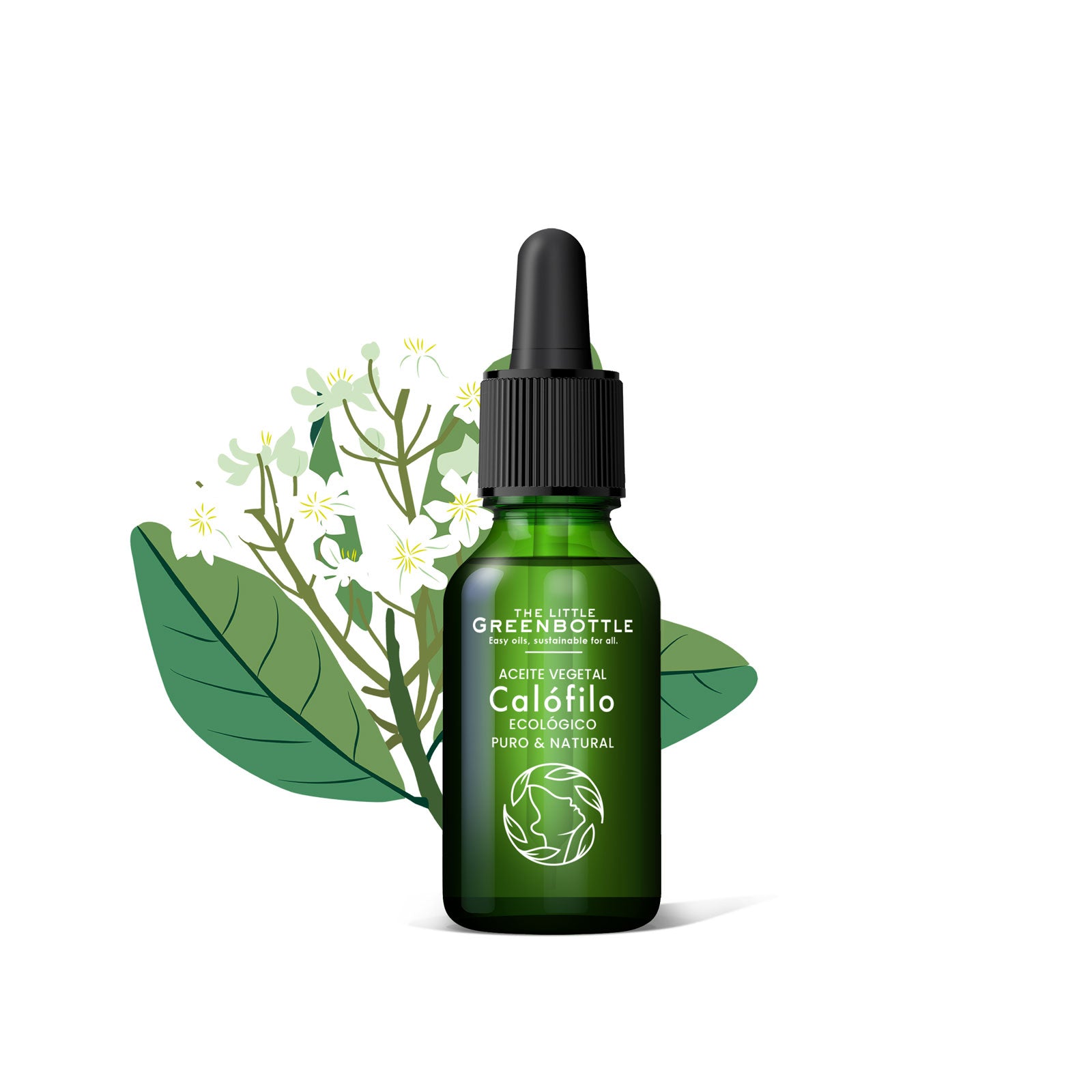 Aceite Vegetal puro de  Calófilo 15 ml 1ªpresión en frío TLGB