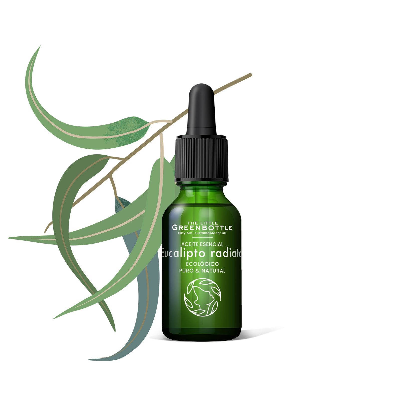 Aceite Esencial puro de Eucalipto Radiata 15 ml Formato XL TLGB