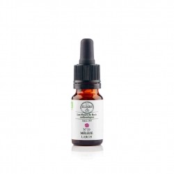 ELIXIR CUENTA-GOTAS Nº 19 LARCH 10 ML