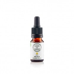 ELIXIR CUENTA-GOTAS Nº 06 CHERRY PLUM 10 ML